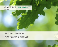 SE Navigating Cycles