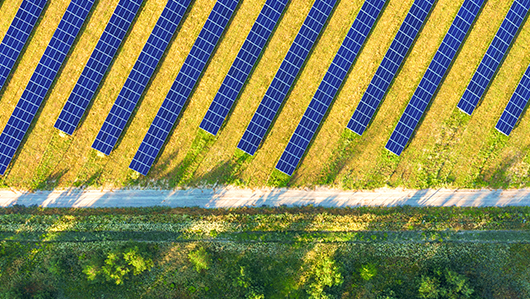 Sustainability in Action: Array Technologies for article